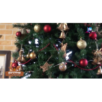 Masa speciala de Craciun