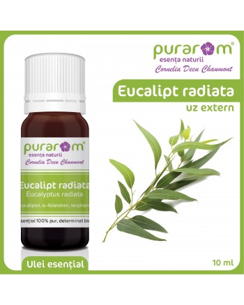 ULEI ESENTIAL DE EUCALIPT RADIATA