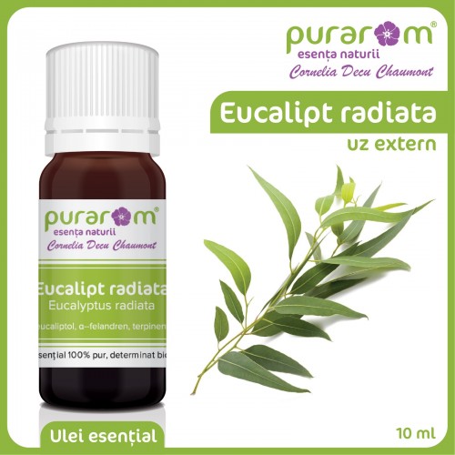 ULEI ESENTIAL DE EUCALIPT RADIATA