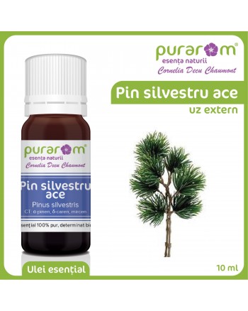 ULEI ESENTIAL DE PIN SILVESTRU