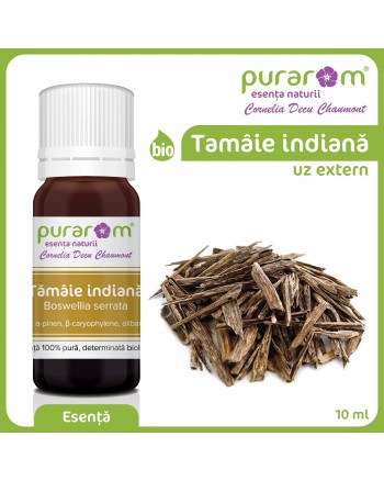 ULEI ESENTIAL DE TAMAIE INDIANA