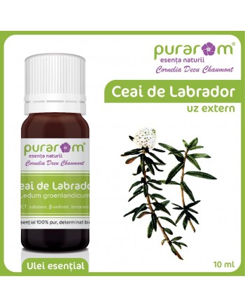 ULEI ESENTIAL DE CEAI DE LABRADOR - LEDUM DE GROENLANDE