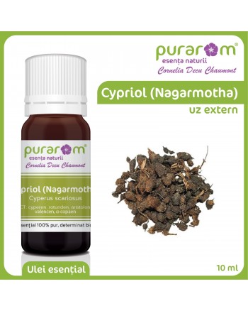 ULEI  ESENTIAL DE NARGAMOTA